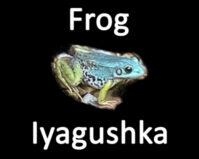 Frog = Iyagushka Translating foreign writings requires much more than a good dictionary.